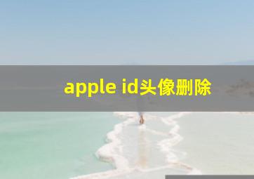 apple id头像删除